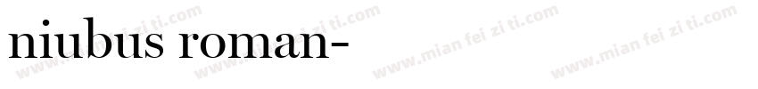 niubus roman字体转换